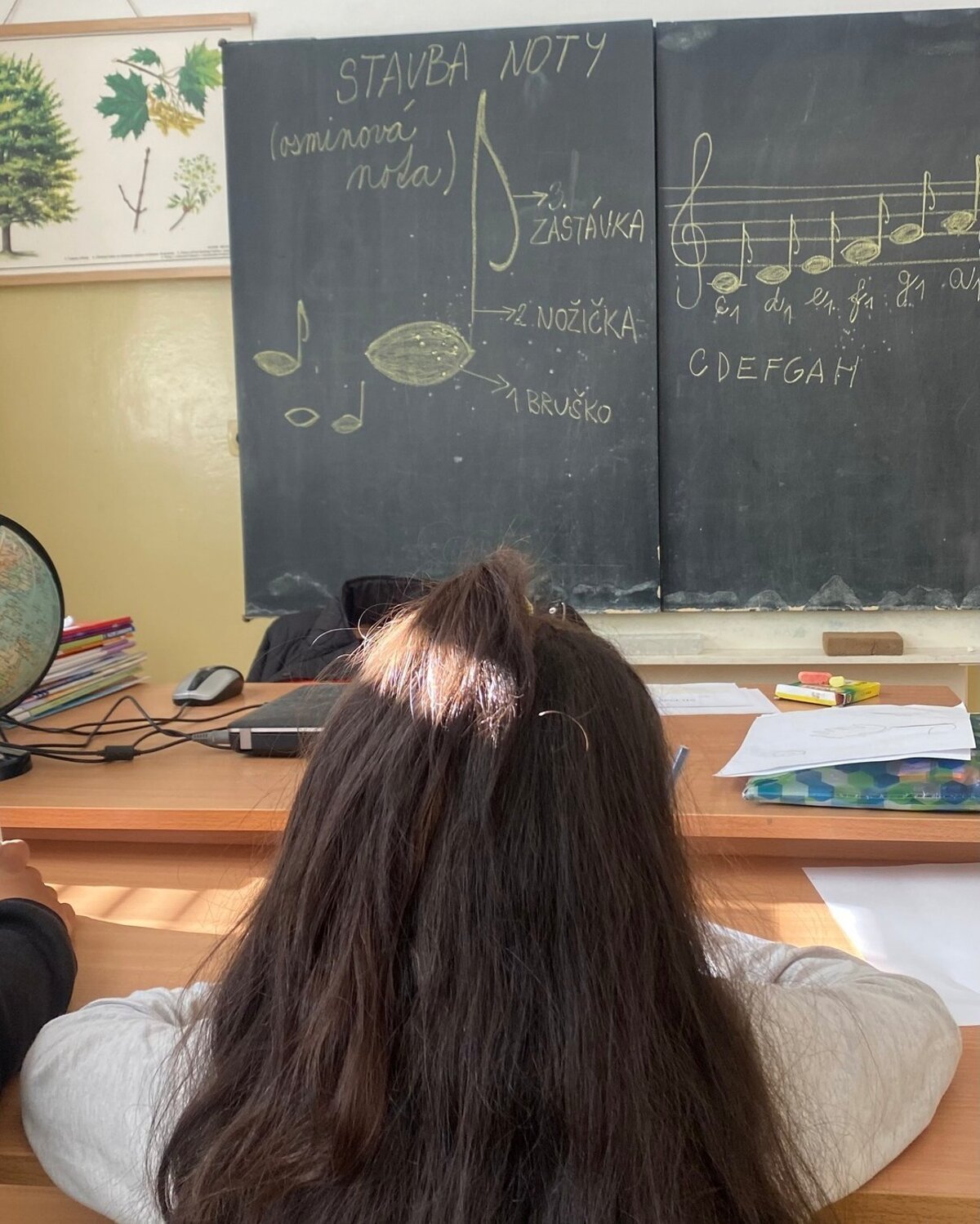 Jeden clovek je v siestich sukromnych skolach