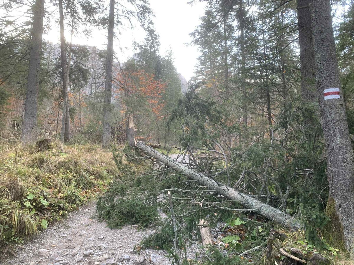 V noci v Tatrach vietor vyvracal stromy pri 130 km h