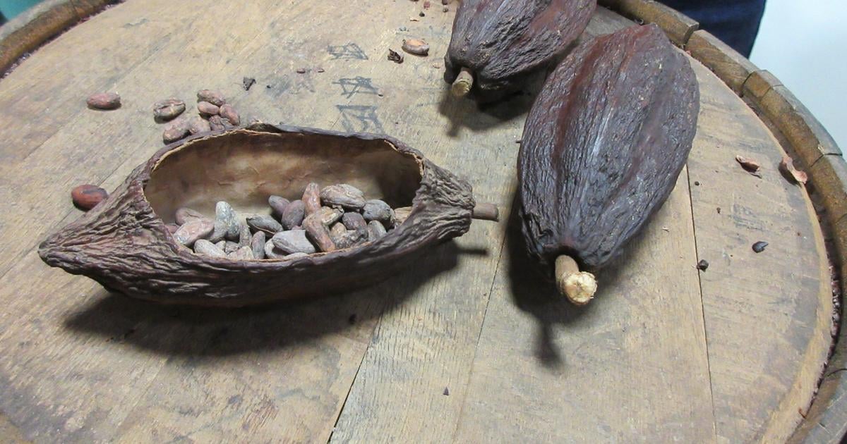 Ceny kakaa prudko klesli spotrebitelske ceny sa vsak nemenia