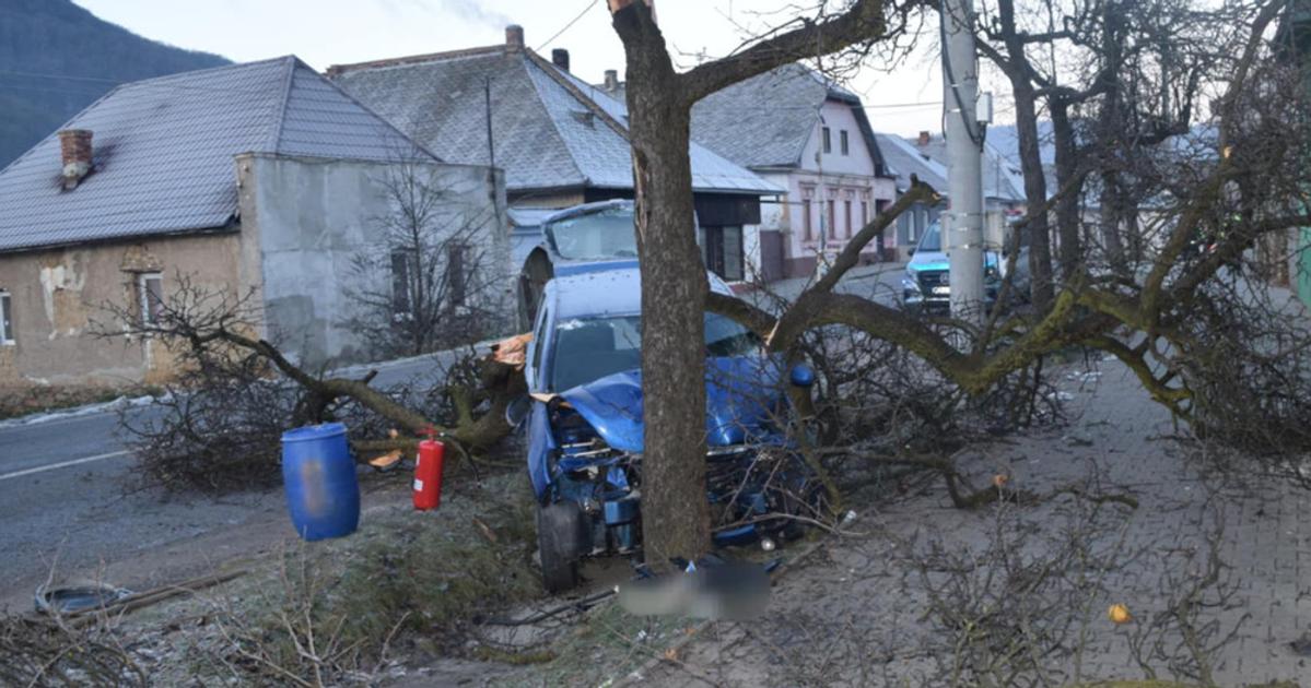 FOTO Jazda vodicky sa skoncila celnym narazom do stromu previezli ju do nemocnice