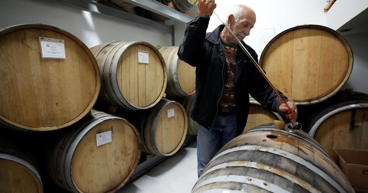 Globalna produkcia vina tento rok mierne vzrastla
