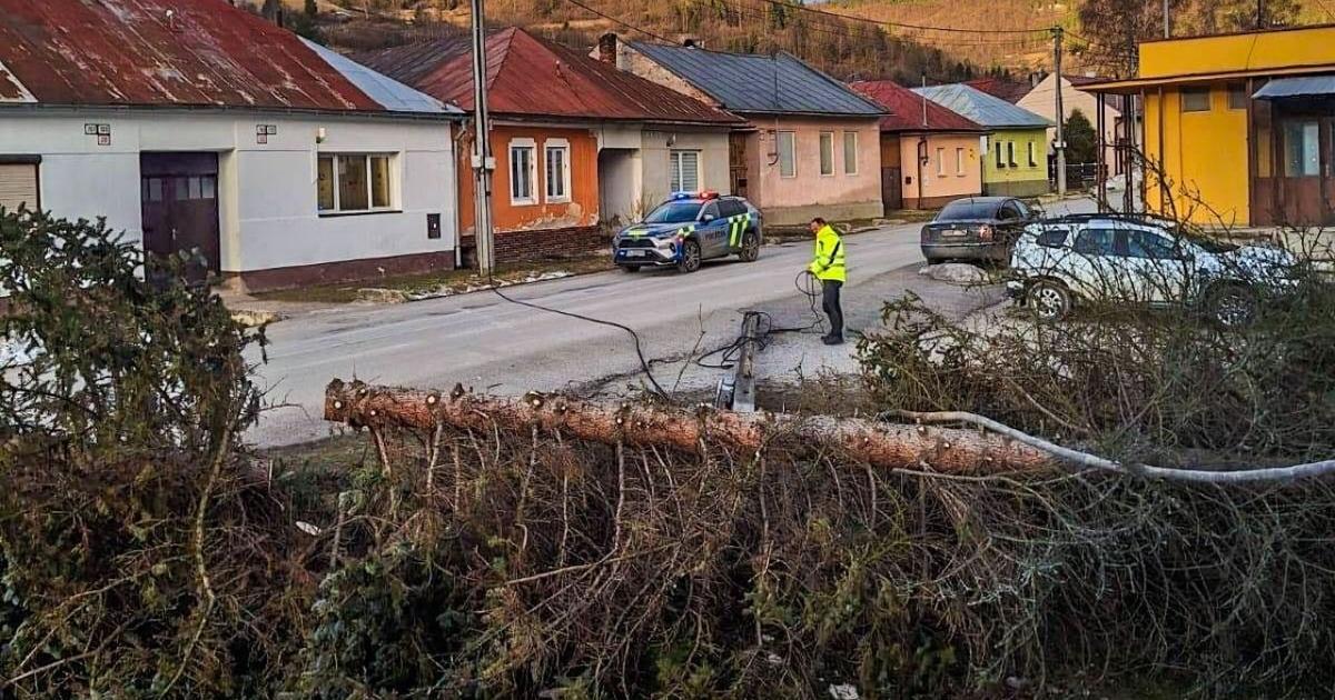 Na dolnom Spisi vietor vyvracia stromy