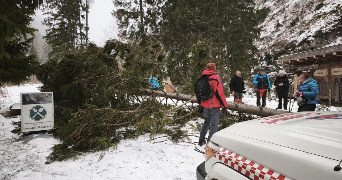 Silny vietor v ziarskej doline zrutil strom a zranil turistov