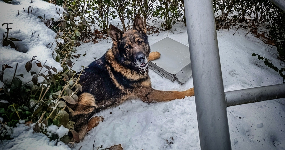 Po serii nocnych kradezi zadrzali policajti v Trebisove dvojicu pachatelov