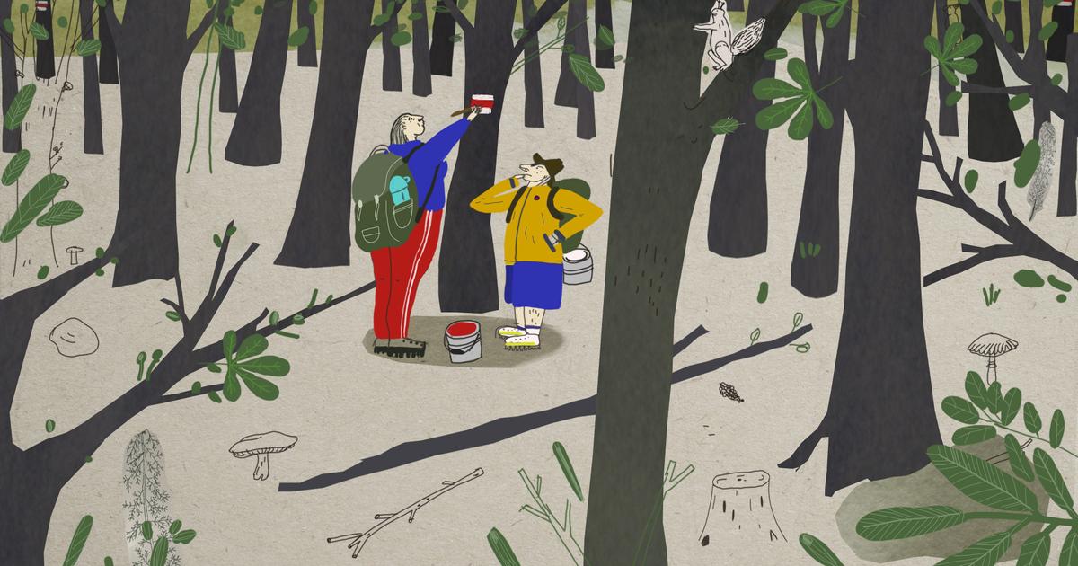 V Clermont Ferrand sa zucastni kratky slovensky animovany film Turisti