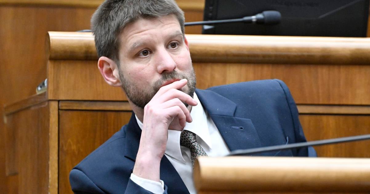 PS bude mat snem 28 marca Simecka je jedinym kandidatom na sefa hnutia