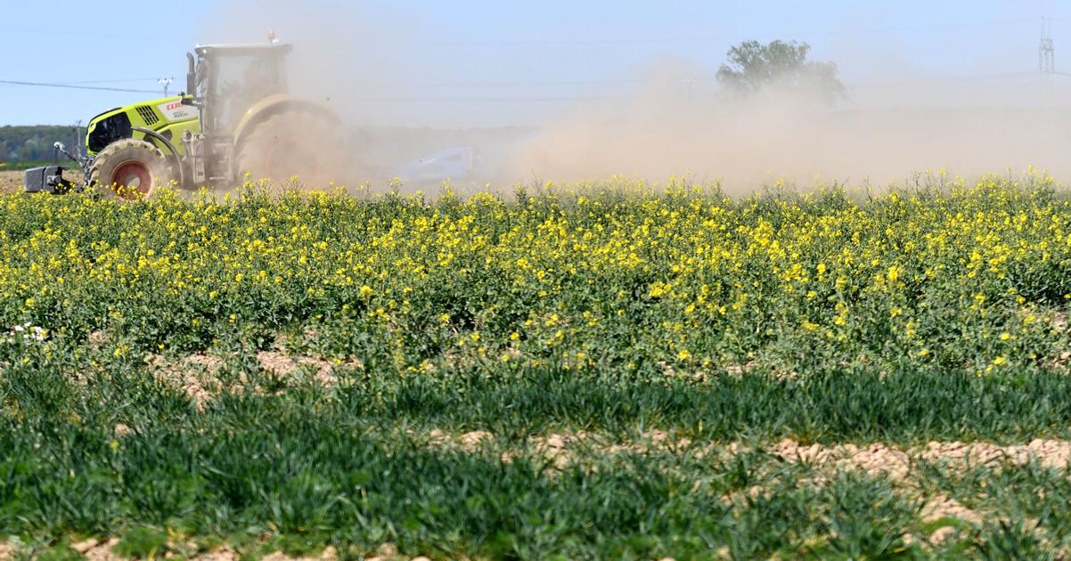 pokles cien v polnohospodarstve stavebnictvo nadalej zdrazue