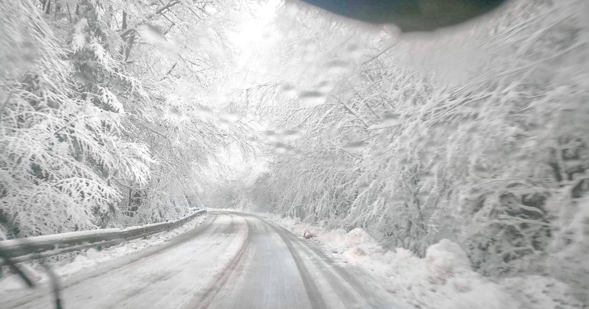 Cesta cez Stos je uzavreta blokuje ju spadnuty strom