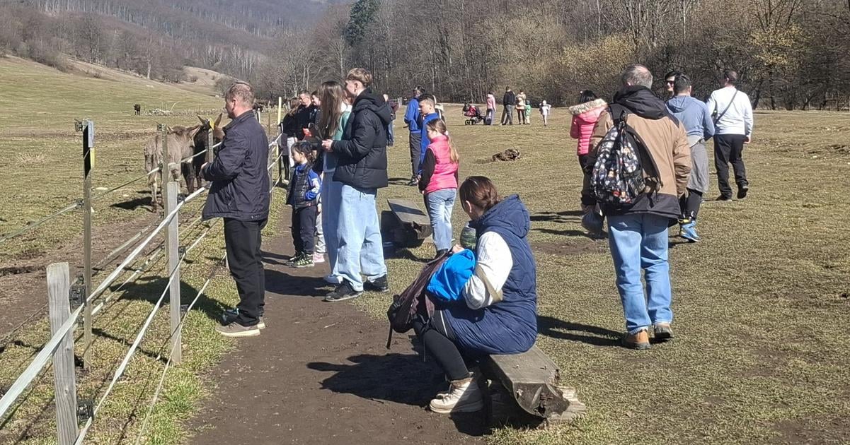 Uz to zacalo Parkovisko pri svetovej rarite praska vo svikoch
