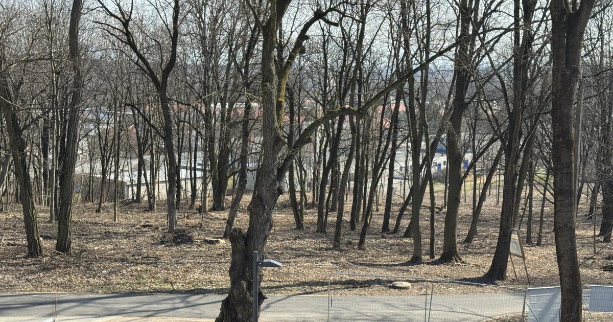 Viac ako 25 hektarov zanedbaneho lesoparku premenia na relaxacnu zonu Mesto tam neplanuje lunapark