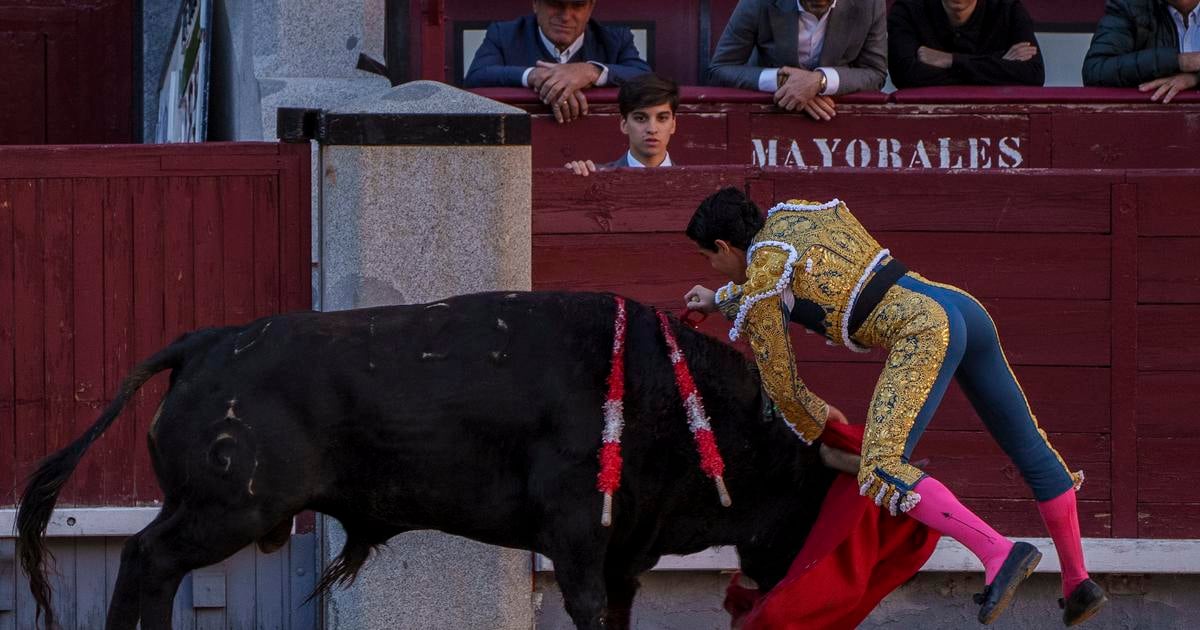 Byk zabil v arene v spanielskej Malage byvaleho toreadora