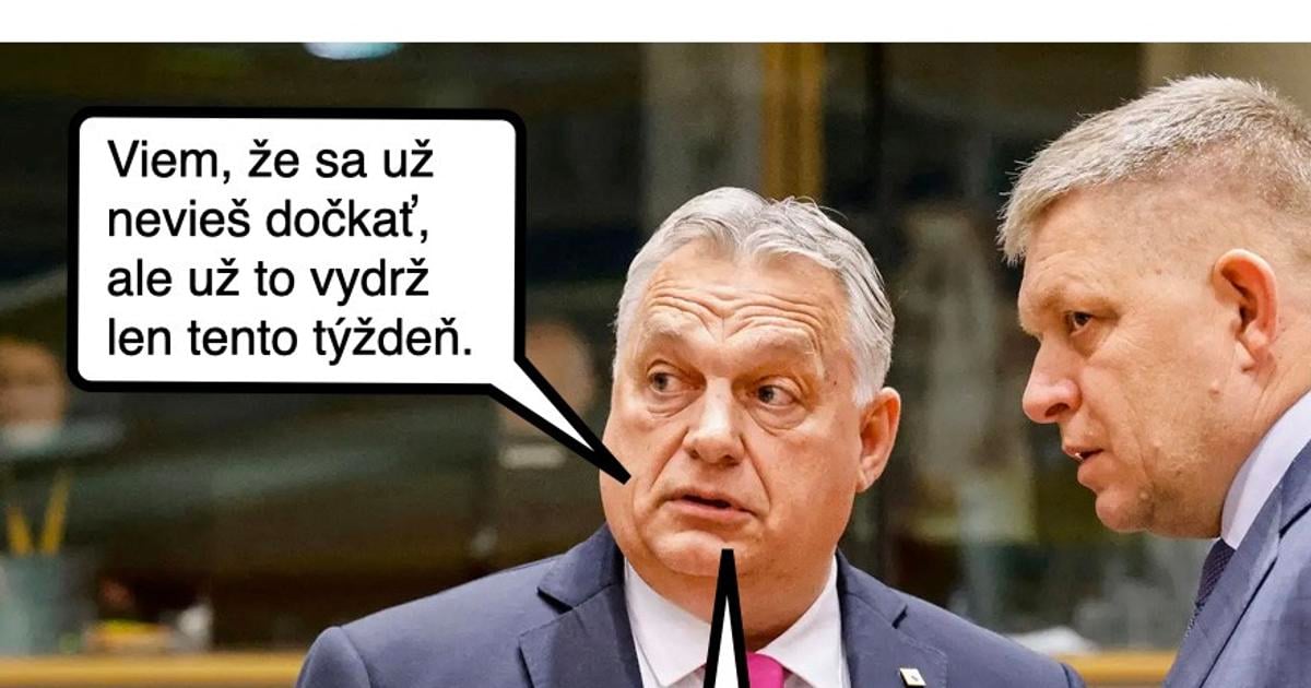 Cynicka obluda Zelenskyj na kusy