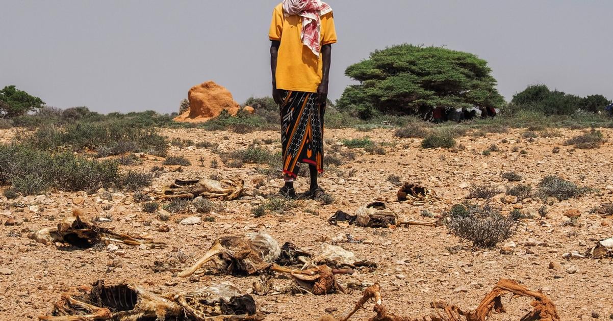 Sucho a vysoke ceny potravin prehlbuju hladomor v Somalsku