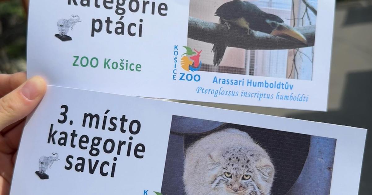 Zoologicka zahrada Kosice si z ceskoslovenskej sutaze Biely slon odniesla dve ocenenia