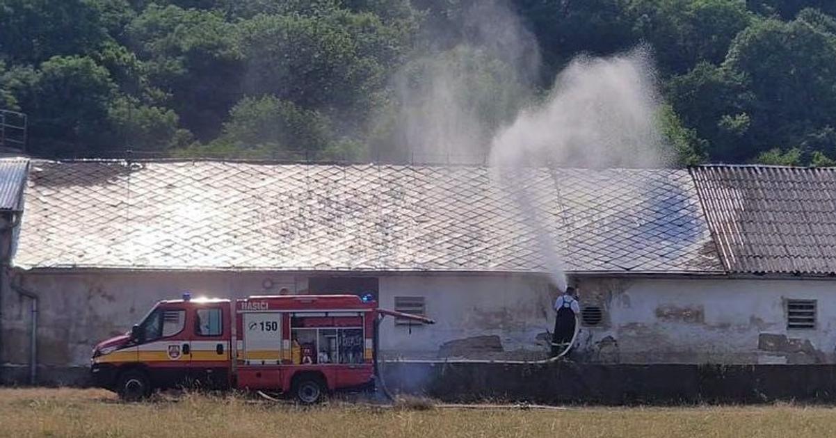 Hasici ochladzovali strechu hangara s tisickami kurciat vodou stovky z nich uhynuli