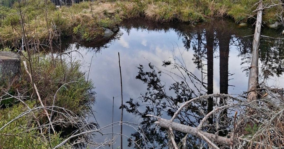 Mokrady v Jasnej zachovaju novu zjazdovku pri nej zuzia