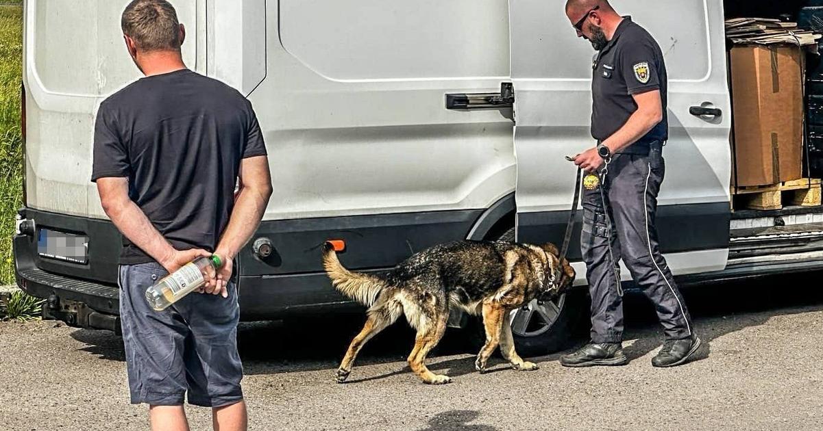 Policajti vykonali osobitnu kontrolu pri vychodnej hranici okrem inho hladali drogy