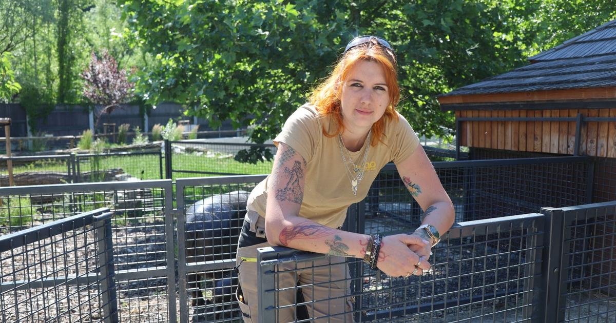 Simona pracuje v bratislavskej ZOO Nemame hrochy ale hrosikov Ked sa rozbehn lahko dobehnu ludi