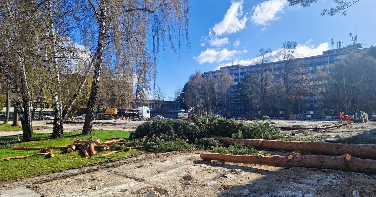 Stromy na Vajanskeho namest rozprudili emocie Primator Martina celi kritike za svoje vyjadrenia