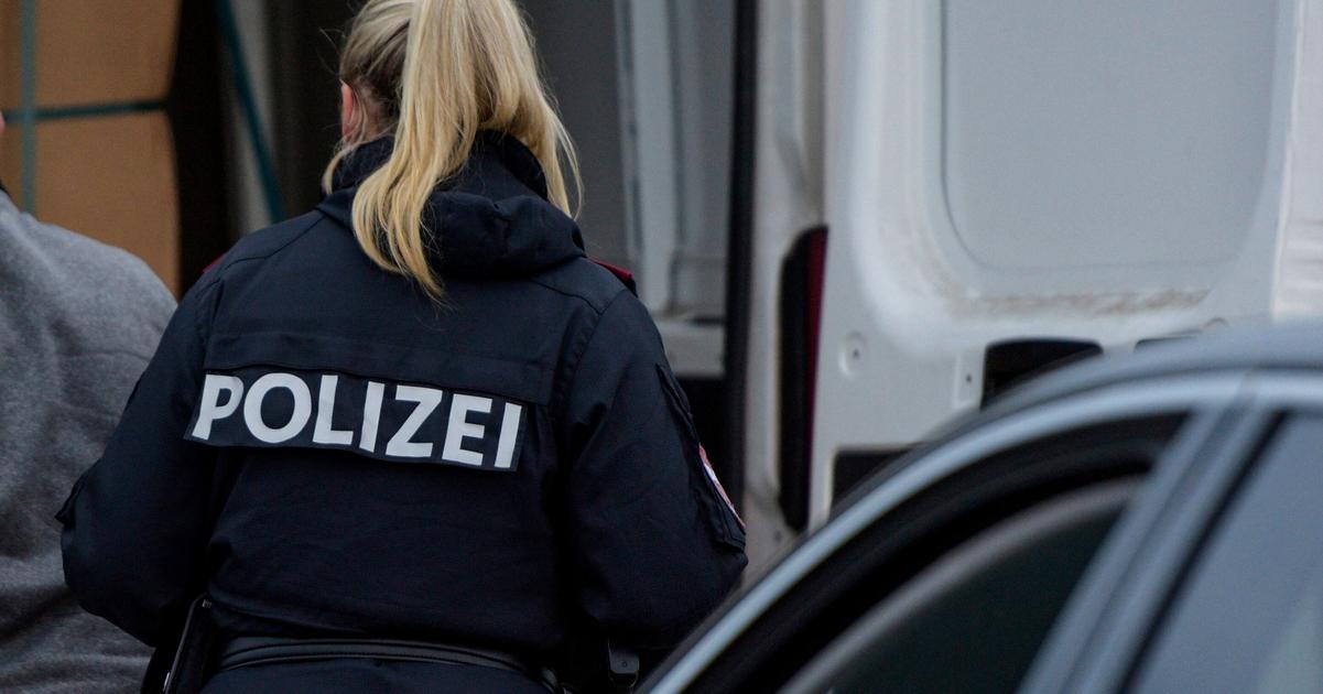 Muž v Rakúsku zabil sekerou partnera svojej bývalej priateľky. 2 Muz v Rakusku zabil sekerou partnera svojej byvale priatelky