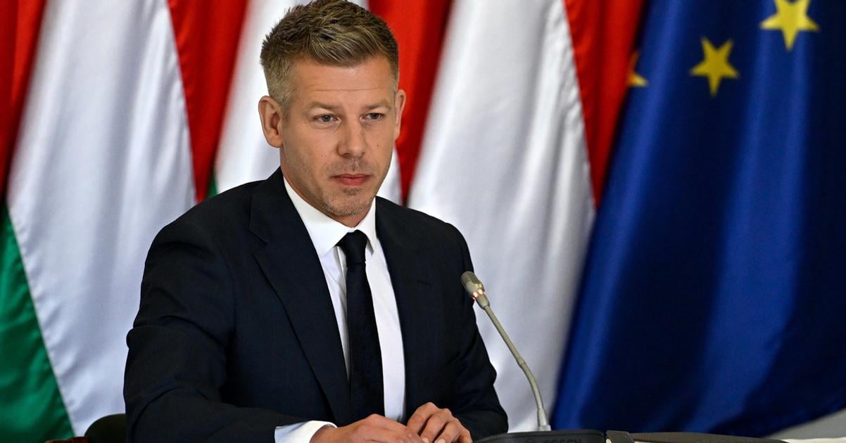 Sulyok vždy uprednostňoval záujmy Fideszu, vyhlásil maďarský premiér Magyar 2 Sulyok vzdy uprednostnoval zaujmy Fideszu vyhlasil madarsky premier Magyar