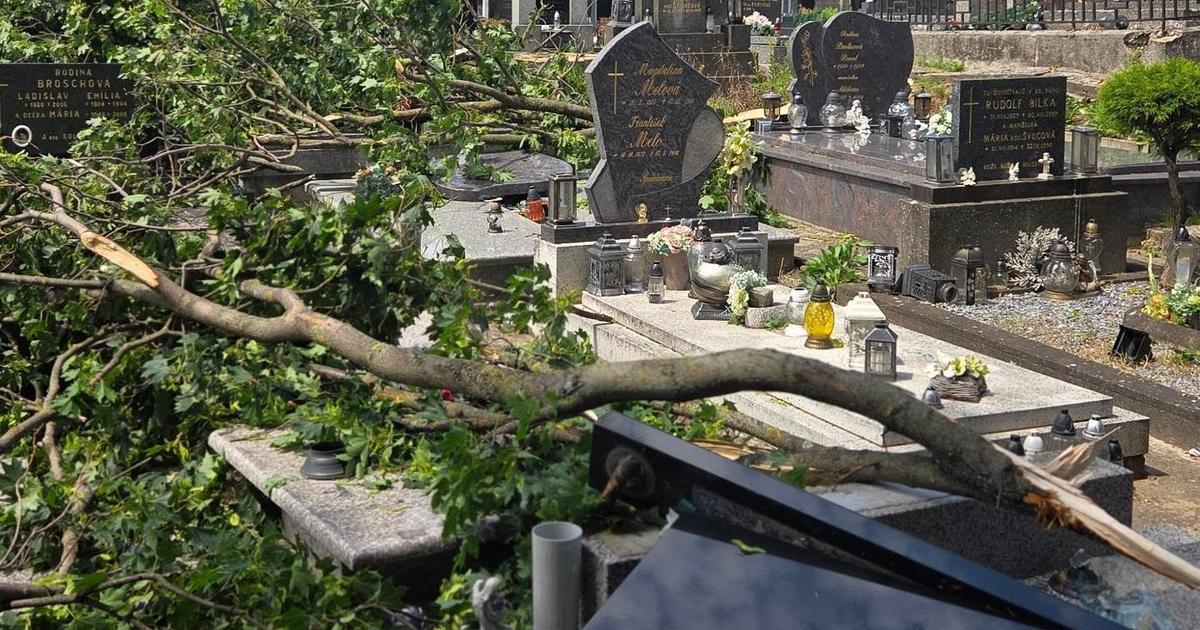 Po ničivej búrke hrozia pády konárov aj stromov. V meste uzavreli Zámocký park a mestský cintorín. 2 po nicivej burke hrozia pady konarov aj stromov v meste uzavreli zamocky park a mestsky cintorin