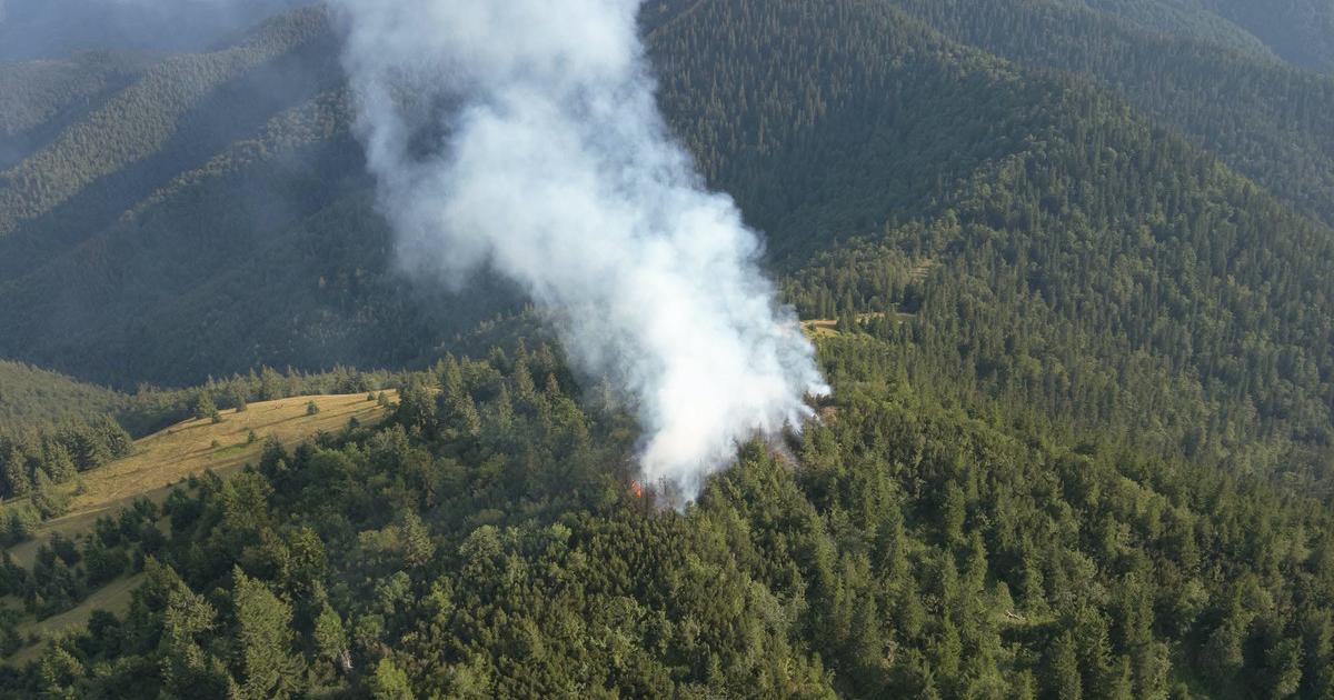 Lesny poziar v Narodnom parku Velka Fatra bol uspesne zlikvidovany