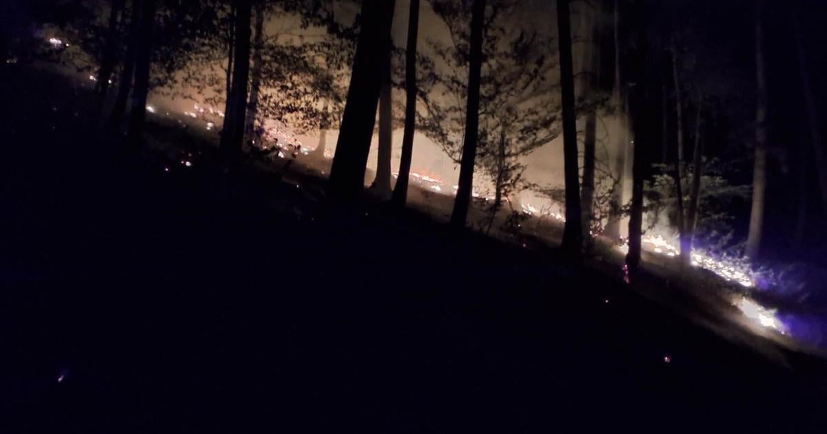Ohen mohol napachat obrovske skody desiatky hasicov vyrazili k nocnemu poziaru v lese