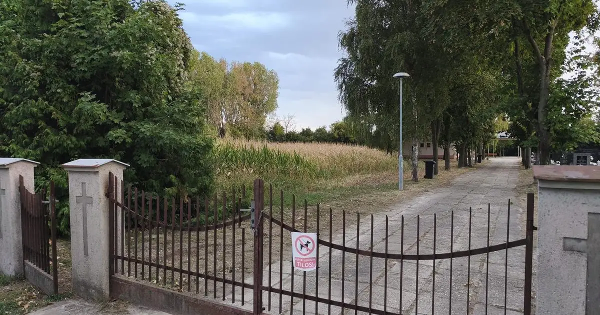 Cintorín namiesto kvetov zdobí kukurica, ľudia podali podnet