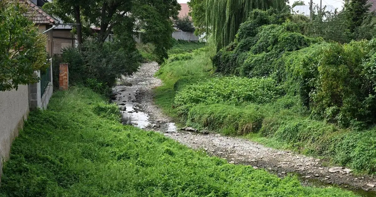 Horúčavy a sucho sužujú Slovensko, zrážky takmer žiadne