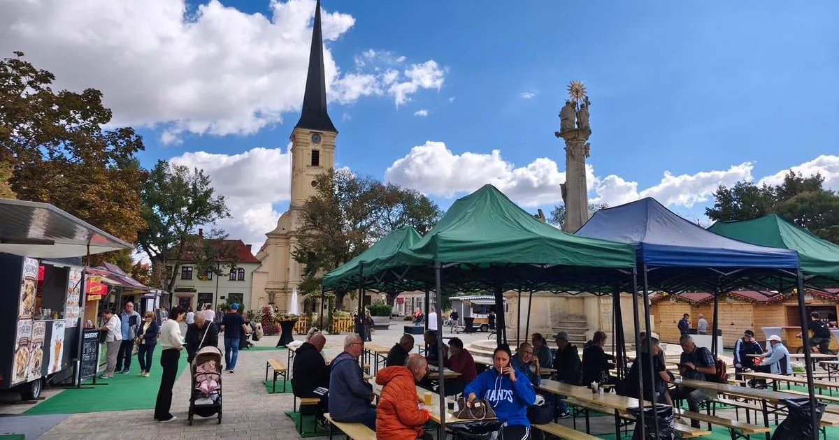 Oberačky sa začali, burčiak je extra sladký. Vinohrad nesklamal, tvrdí vinár