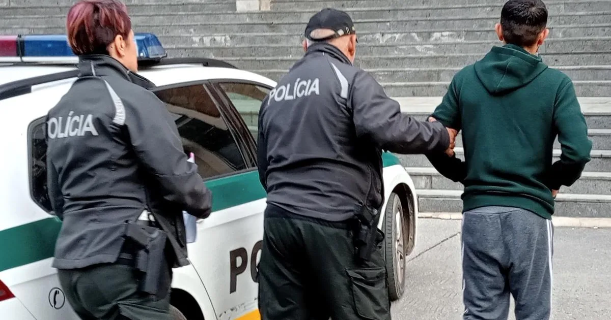 Vyhrážal sa jej smrťou a sekerou búchal po dverách, utiekla s deťmi cez okno