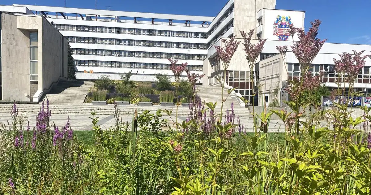 Aký je plán pre Košice? Kandidáti na primátora hovoria, ako chcú ozdraviť rozpočet