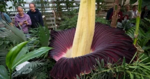 Botanická záhrada UK bude od 1. novembra pre verejnosť zatvorená