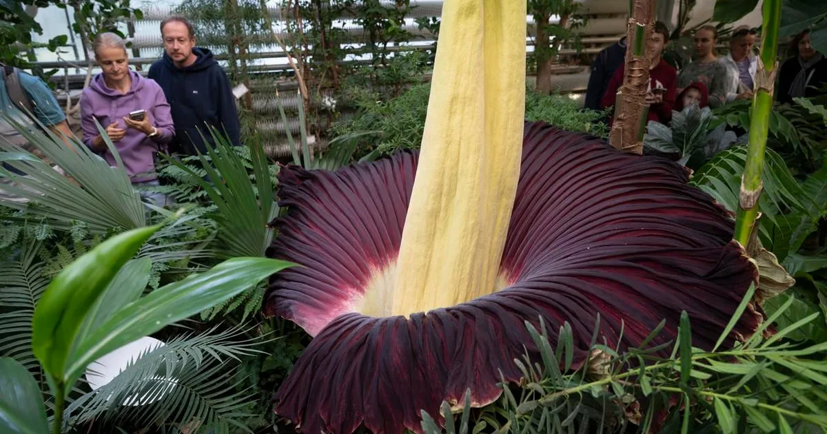 Botanická záhrada UK bude od 1. novembra pre verejnosť zatvorená