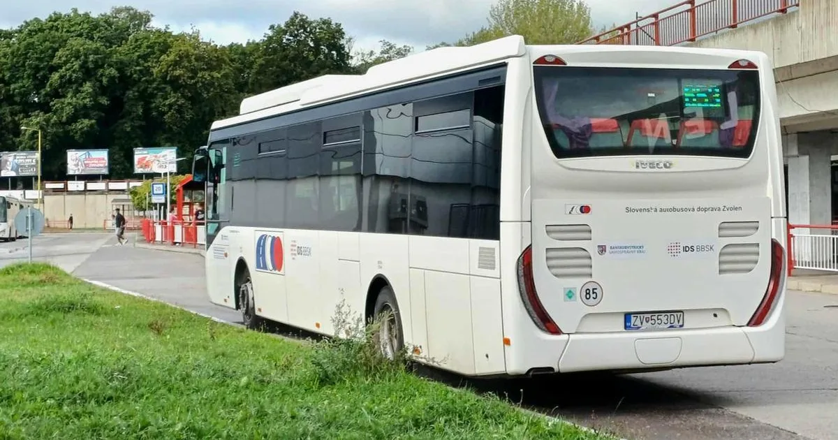 Cesta na festivaly bez auta láka viac ľudí, špeciálne autobusy hlásia rekordnú sezónu
