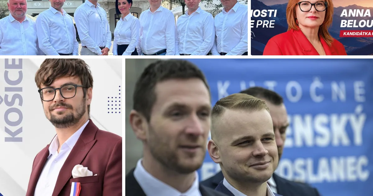 Dezinfoscéna vo voľbách: Na východe pohoreli proruskí kandidáti, na západe odmietli extrém 2 Dezinfoscéna vo voľbách: Na východe pohoreli proruskí kandidáti, na západe odmietli extrém