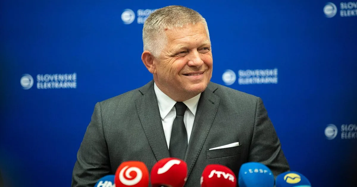 Dostatok elektriny pre domácnosti za rozumnú a prijateľnú cenu 2 Dostatok elektriny pre domácnosti za rozumnú a prijateľnú cenu