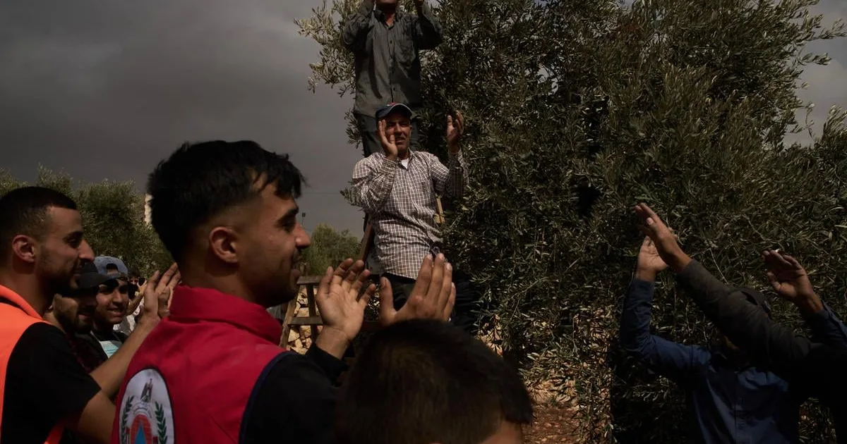 Izraelskí osadníci útočili na Palestínčanov a podpaľovali olivovníky