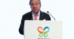Na konferencii COP17 prijali dohody o zastavení ničenia prírody