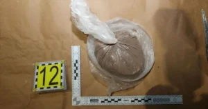 Osoba čelí obvineniu v rámci rozsiahlej policajnej akcie