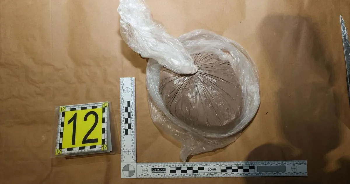 Osoba čelí obvineniu v rámci rozsiahlej policajnej akcie