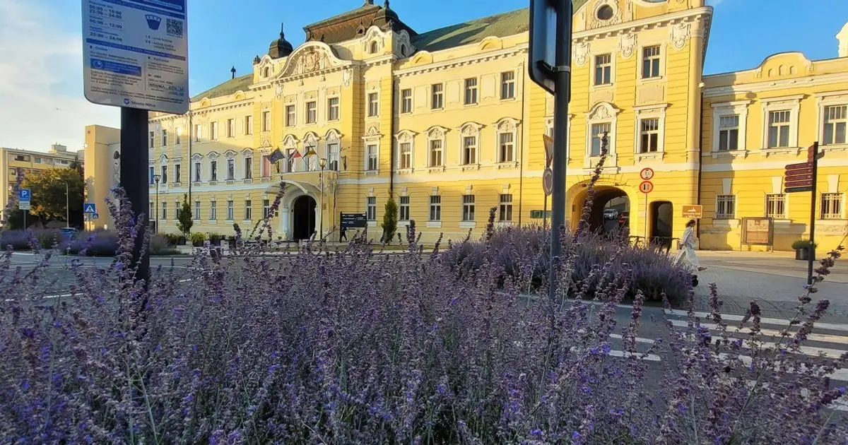 Pravicová koalícia valcovala, viaceré známe mená prepadli, vrátane Tibora Gašpara