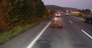 Priemerná výška škody dosahovala v roku 2019