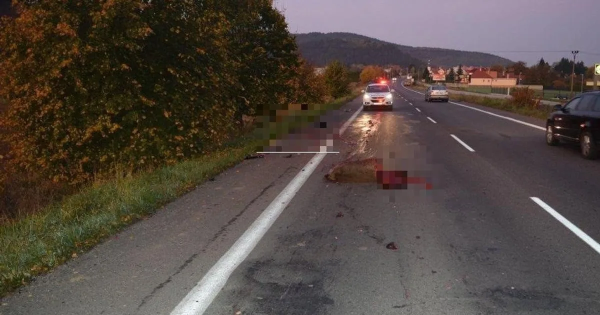 Priemerná výška škody dosahovala v roku 2019