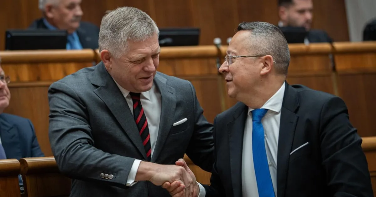 Smer menil pravidlá, aby v prechodnej vláde vládol bez limitov 3 Smer menil pravidlá, aby v prechodnej vláde vládol bez limitov