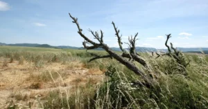 Sucho je najhoršie minimálne od roku 2015, uviedli meteorológovia