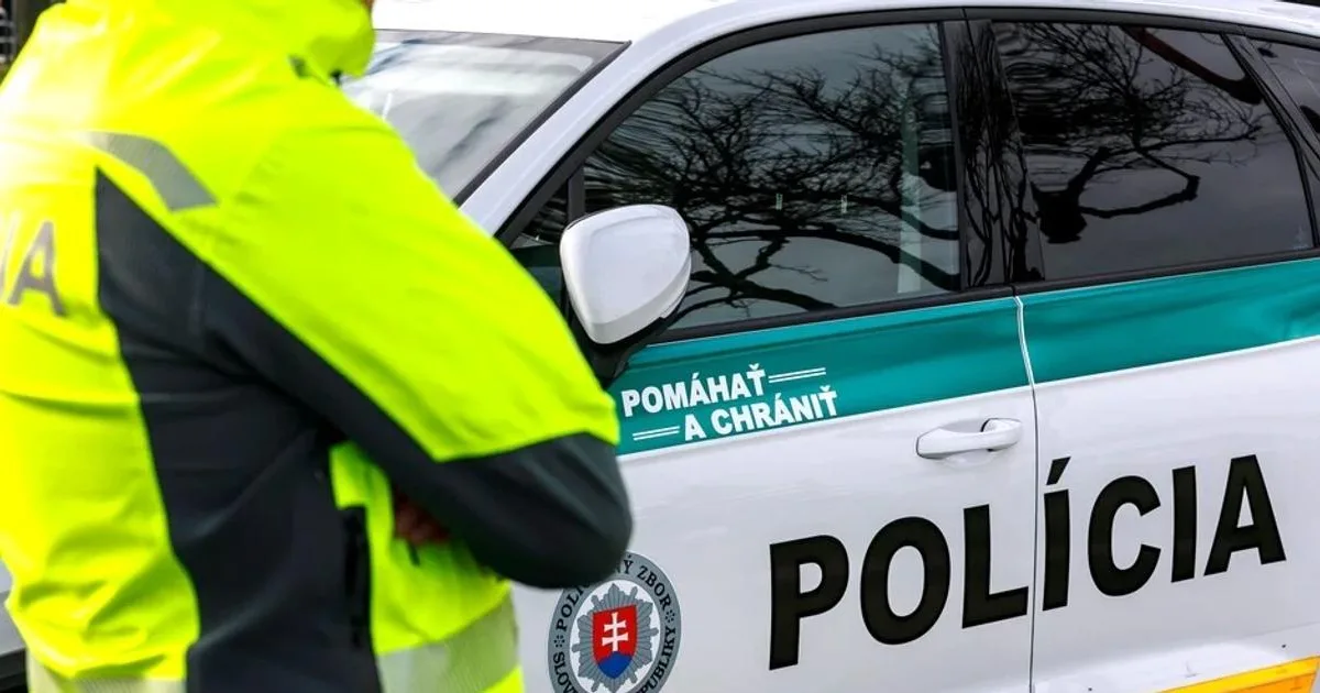 Zrážka kamióna s dodávkou pri obci Lada, cestu prvej triedy uzavreli v oboch smeroch 2 Zrážka kamióna s dodávkou pri obci Lada, cestu prvej triedy uzavreli v oboch smeroch